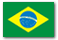 Seguran&ccedil;a e Intelig&ecirc;ncia Corporativa